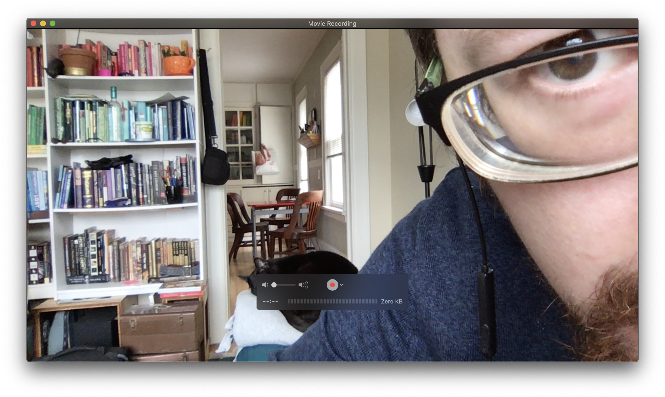 Screenshot: webcam recording