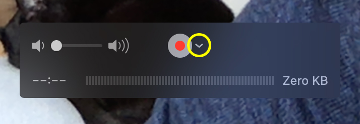Screenshot: QuickTime webcam settings